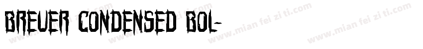 Breuer Condensed Bol字体转换